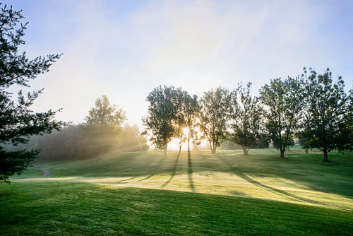 Morning Dew Golf Course
