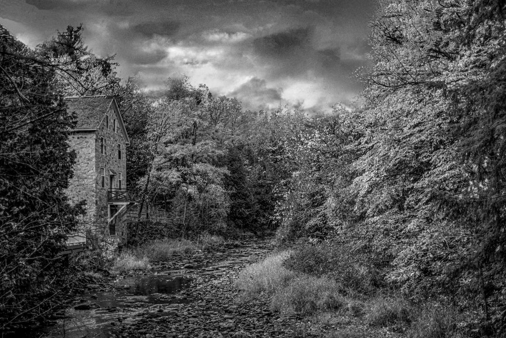 Timeless Stone