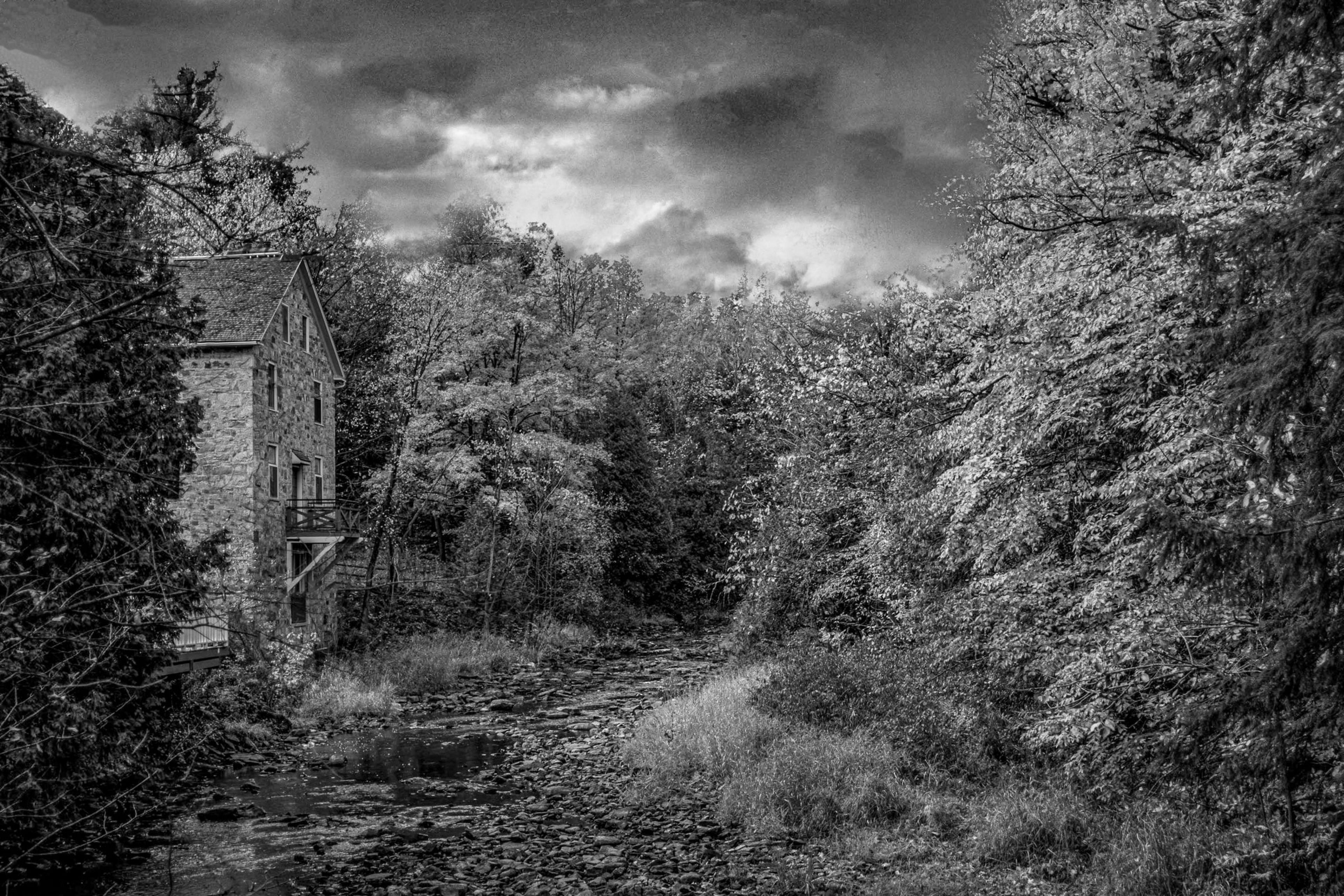 Timeless Stone