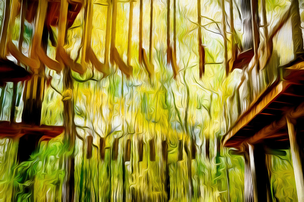 Treetop Trekking Along the St. Lawrence River — Digital Wall Art
